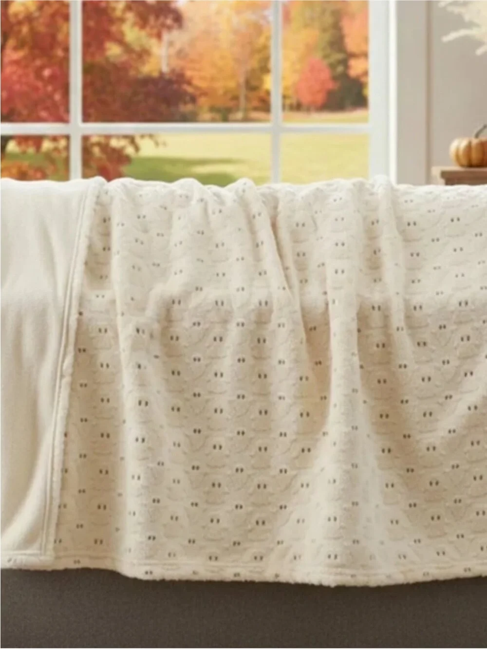 Viral TikTok White Embroidered Faux Fur Ghost Halloween Throw Blanket 60
